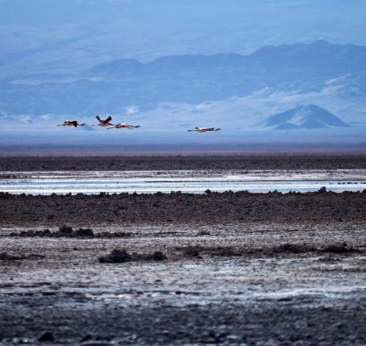 atacama_4_chile