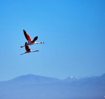 atacama_6_chile