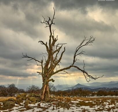 strom_5