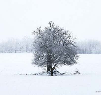 strom_6